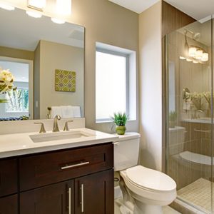 Bathroom Plumbing Fixtures