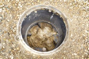 Toilet pipe clogged with flushable wipes.